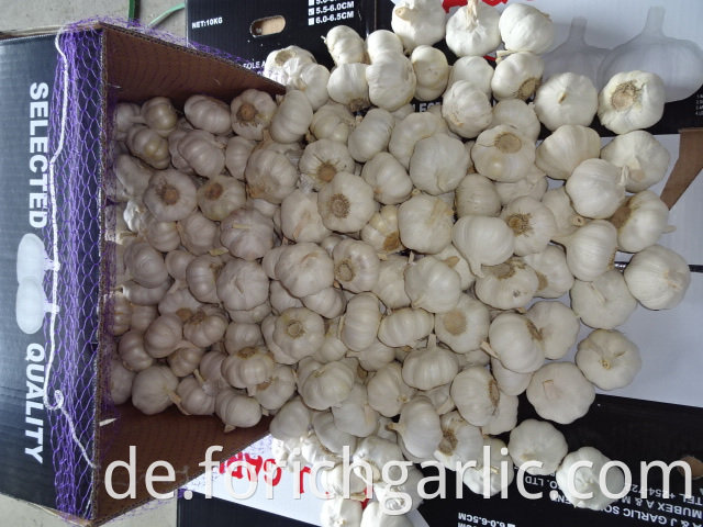 Crop 2019 Pure Garlic